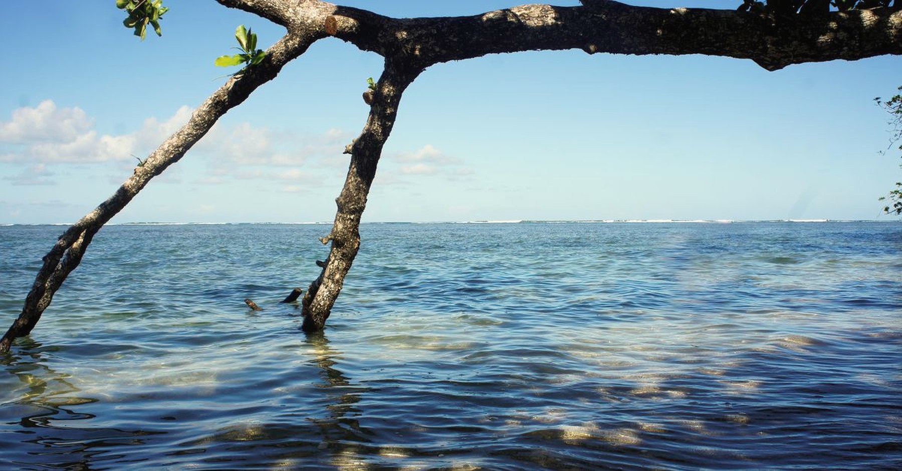 Bocas del Toro Island Explorer — Bocas del Toro, Panama
